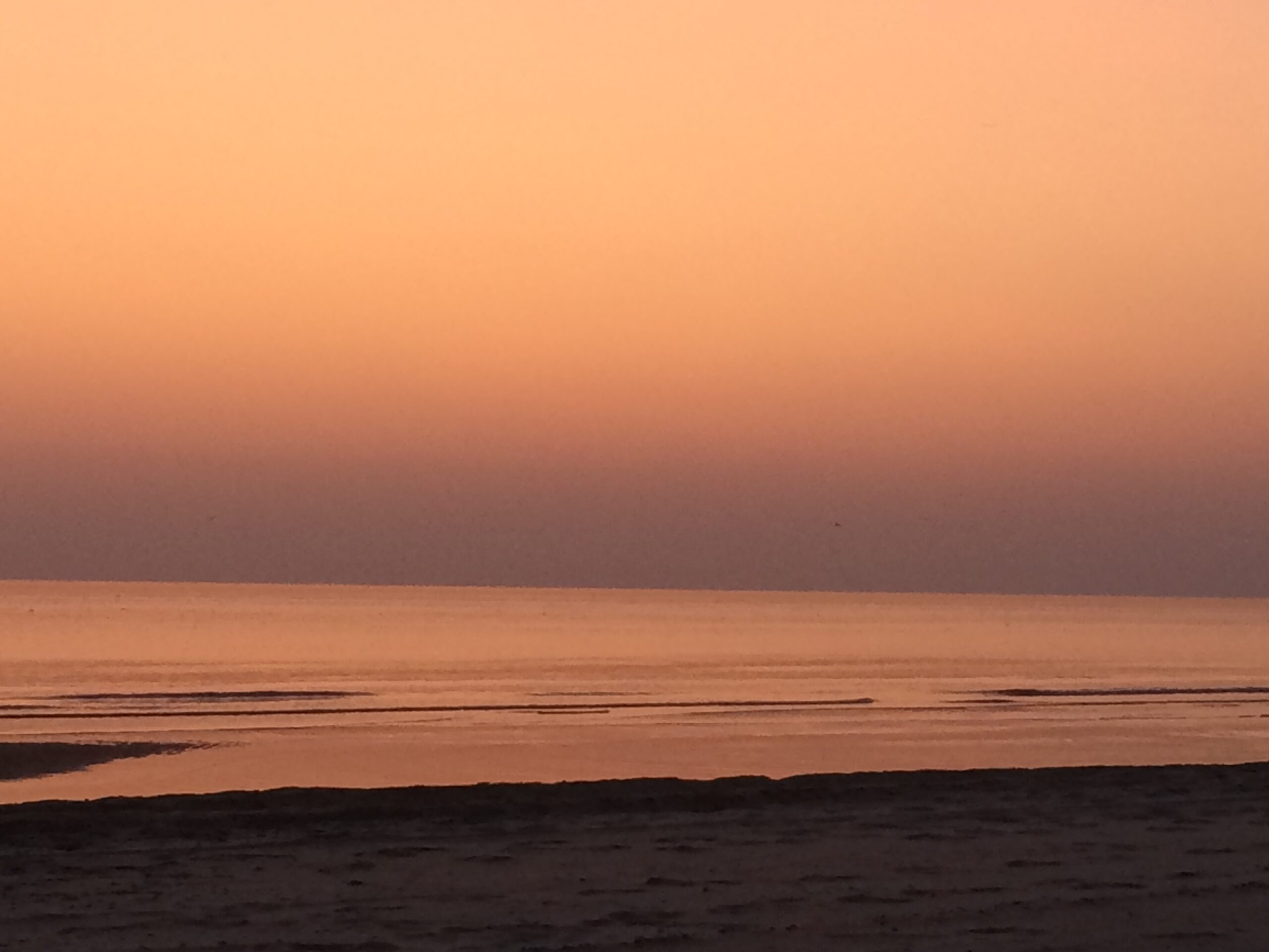 Coaching Mindfulness Yoga Natuuractiviteiten Egmond