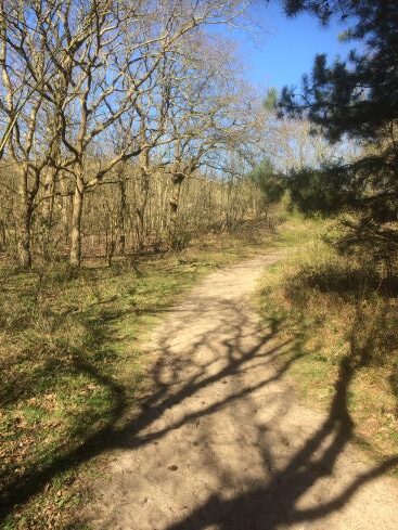 Holistische coach die helpt bij burnout in Heiloo