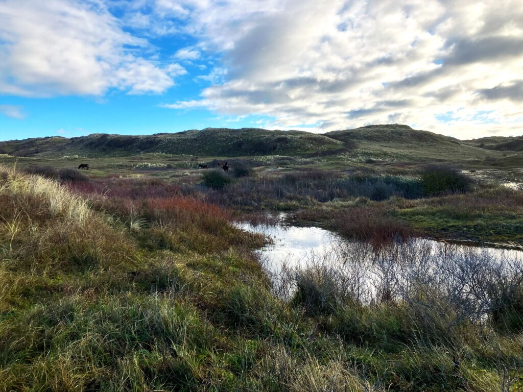 burn-out preventie op het strand van Bergen