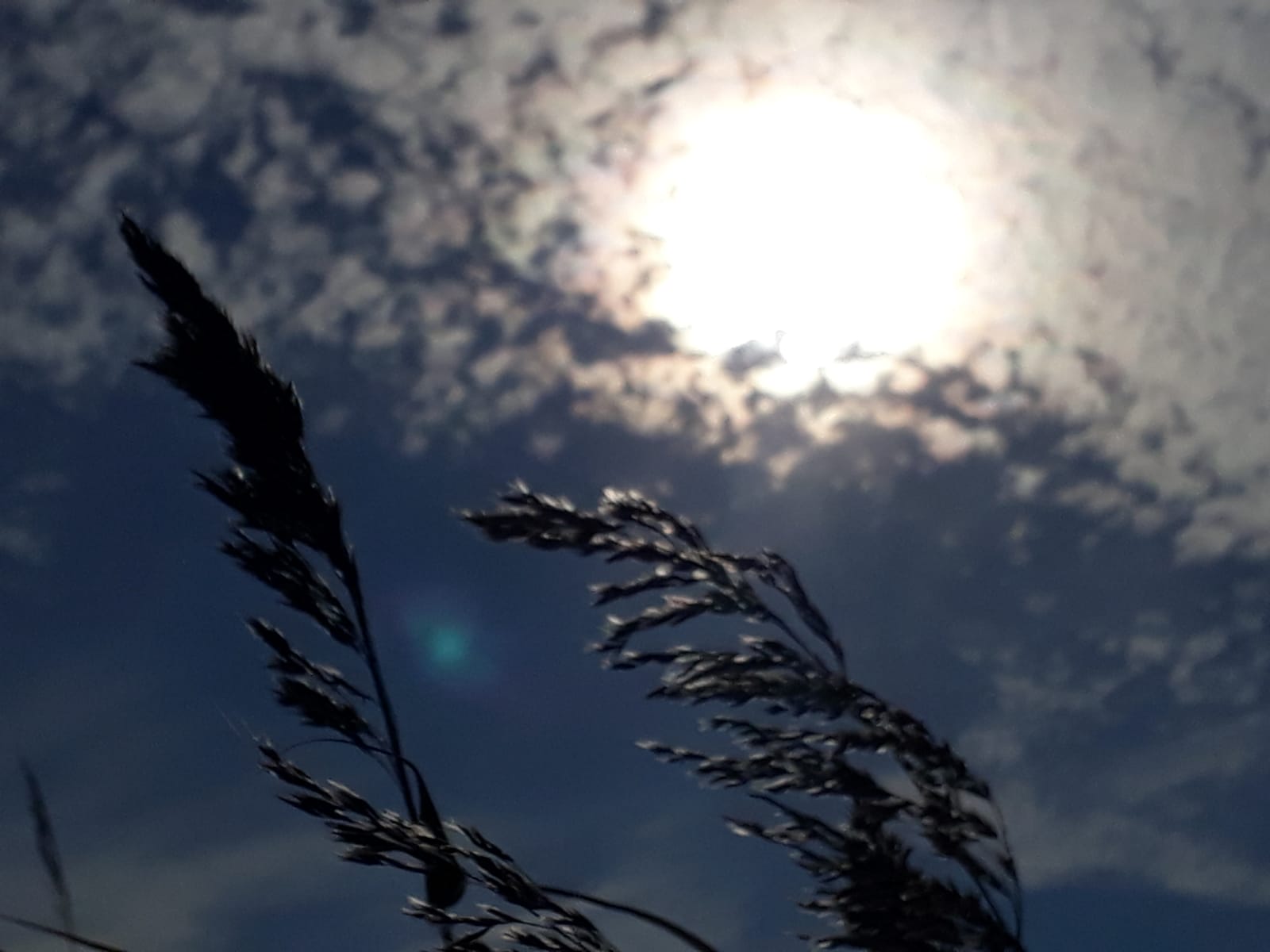 Mindfulness training Alkmaar