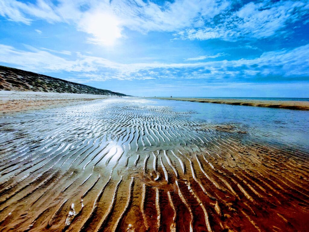 Natuuractiviteiten rond Egmond