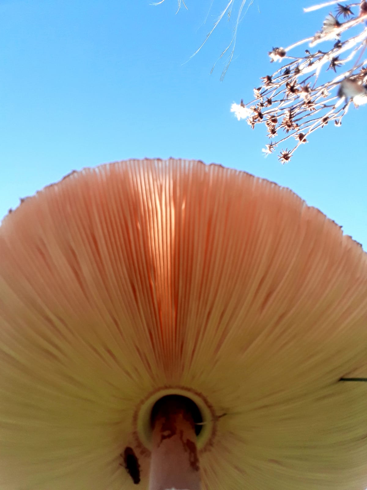 Natuurcoaching Coaching in de natuur Egmond