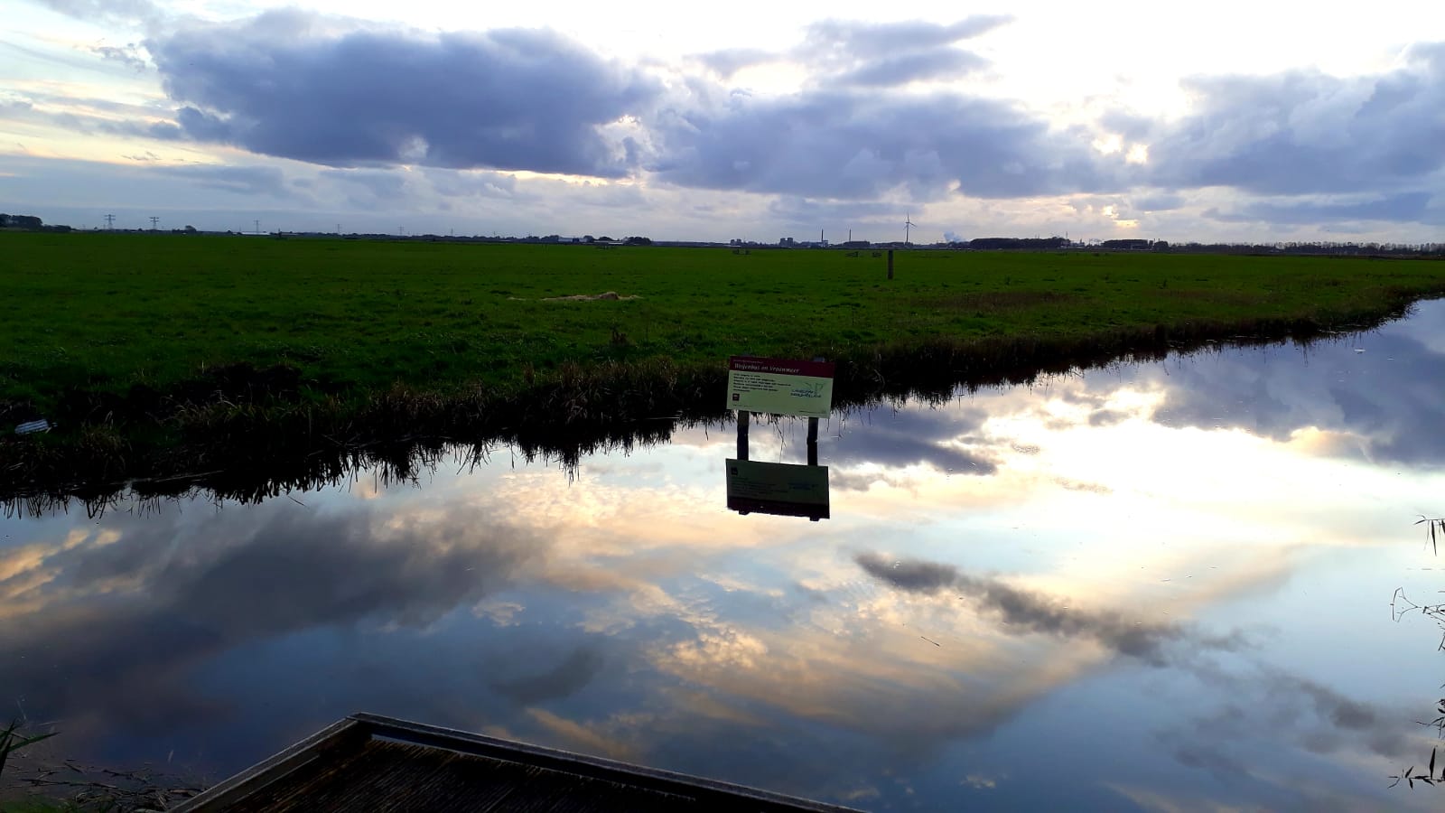 Wandelcoach vs Natuurcoach Egmond