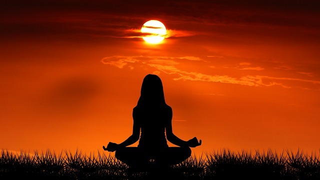 Yoga individueel in de natuur in regio Alkmaar
