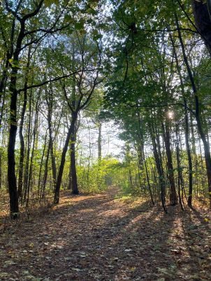 Burnoutcoach wandelend in de duinen van Castricum