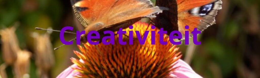 Creativiteit in coaching Egmond