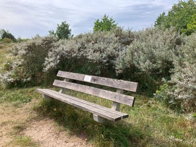 Heiloo: Zitplekje bij stress, even een rustmoment in de natuur.