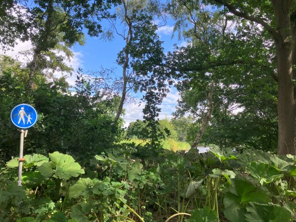 Wandelcoach in Alkmaar in de natuur tijdens coachsessie.